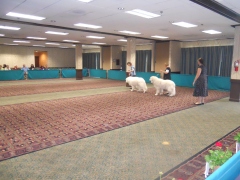 DSCN0617