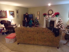 KODAK Digital Still Camera