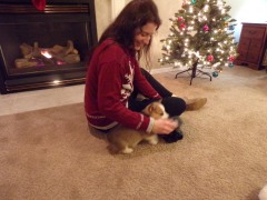 KODAK Digital Still Camera