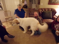 KODAK Digital Still Camera