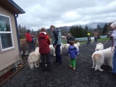 KODAK Digital Still Camera