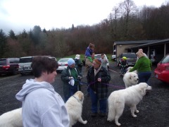 KODAK Digital Still Camera