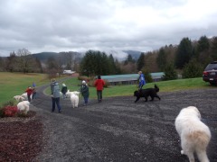 KODAK Digital Still Camera