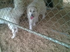 WP_20160213_12_15_56_Pro