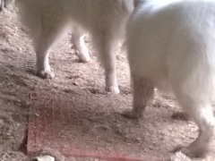 WP_20160213_12_22_58_Pro