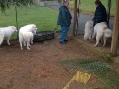 WP_20160213_12_23_53_Pro