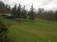 WP_20160213_12_35_37_Pro