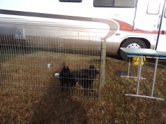 KODAK Digital Still Camera