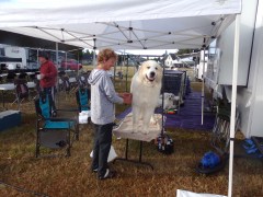 KODAK Digital Still Camera