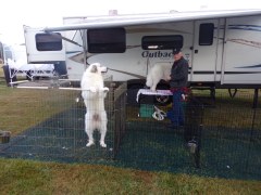 KODAK Digital Still Camera