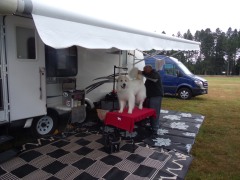 KODAK Digital Still Camera