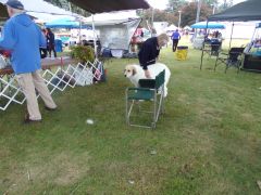 KODAK Digital Still Camera