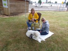 KODAK Digital Still Camera