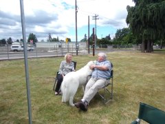 KODAK Digital Still Camera