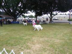 KODAK Digital Still Camera