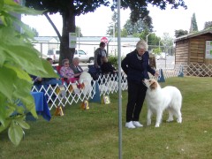 KODAK Digital Still Camera