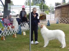 KODAK Digital Still Camera