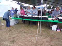 KODAK Digital Still Camera