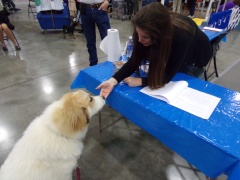 KODAK Digital Still Camera