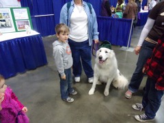 KODAK Digital Still Camera