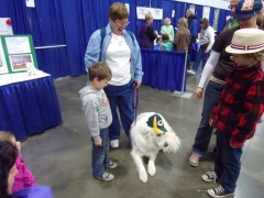 KODAK Digital Still Camera