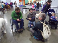 KODAK Digital Still Camera