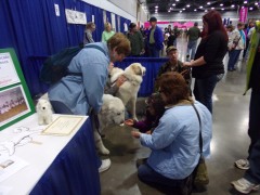 KODAK Digital Still Camera