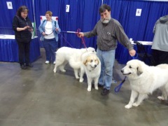 KODAK Digital Still Camera