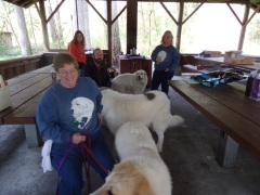 KODAK Digital Still Camera