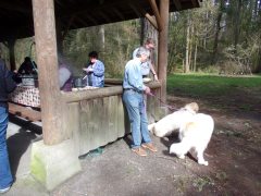 KODAK Digital Still Camera