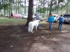 KODAK Digital Still Camera