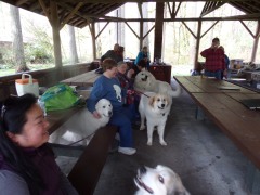 KODAK Digital Still Camera