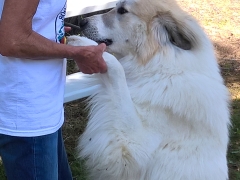 WP_20160518_15_51_33_Pro