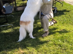 WP_20160520_09_18_37_Pro