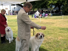 WP_20160520_09_31_59_Pro