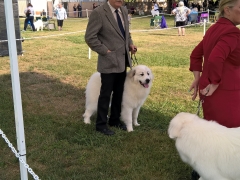 WP_20160520_09_32_13_Pro-Copy