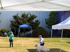 WP_20160520_09_33_54_Pro-2