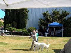 WP_20160520_09_35_01_Pro