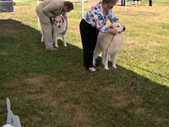 WP_20160520_09_35_14_Pro