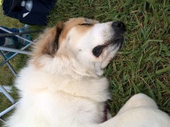 WP_20160520_11_08_35_Pro