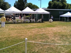 WP_20160520_15_43_23_Pro