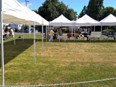 WP_20160520_15_47_00_Pro