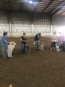 IMG_9277