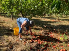 IMG_1047