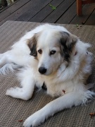 Kelsee-2.Jackie-Seguin