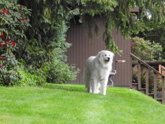 Stormy.Sandra-Anderson