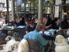 WP_20140531_11_42_32_Pro.jpg