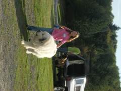 DSCN3675