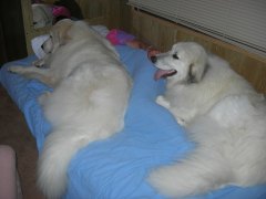 DSCN3353