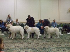 Jasper, his sister and dad